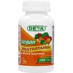 Vegan Multivitamin and Mineral Supplement - One Daily
